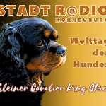 Welthundetag 2024 – Welpe Chico: Ab in die Hundeschule